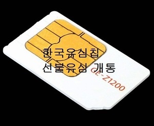 선불 유심(번호)만 개통