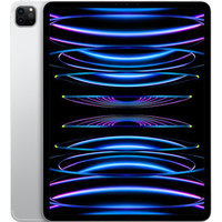 iPad Pro12.9  6세대