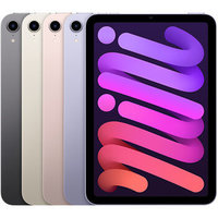 iPad Mini  (2021) 6세대